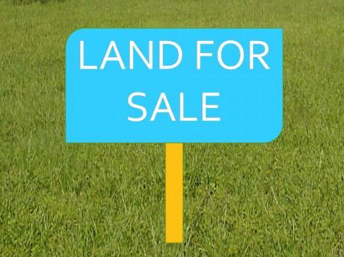 0 - 0 - 91 Rai for sale - Land - Na Kluea - 