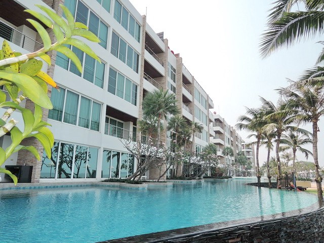 Condominium for rent Ananya Naklua - Condominium - Pattaya - Wongamat Beach